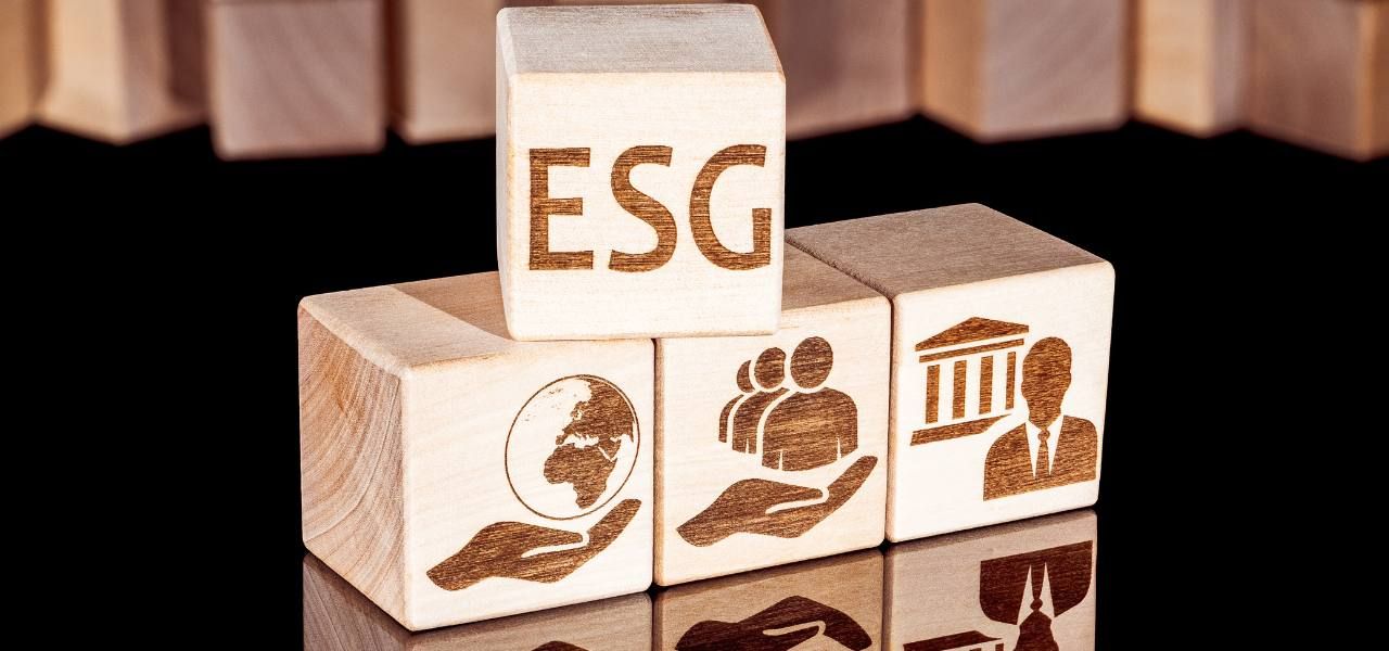 ESG significato